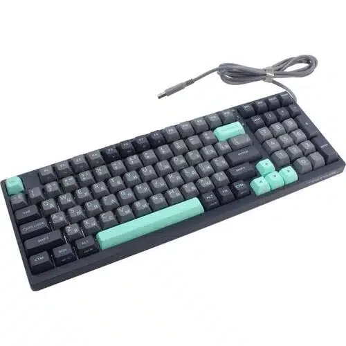 A4TECH FSTYLER FS300 MECHANICAL HOT-SWAPPABLE SWITCH KEYBOARD USB PANDA ROCK CLIMBING US+RU