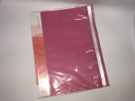 Папка файловая HL-100AB 100 листов Clear Book